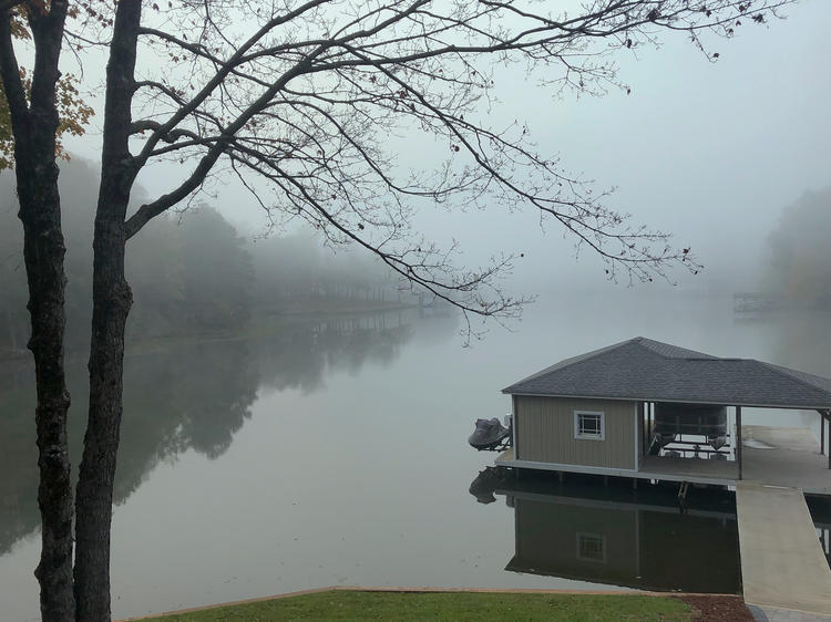tree in foreground left, boat dock midground right, cove and shoreline in background with heavy fog